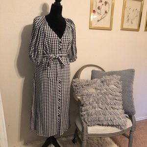 NWT ANN TAYLOR Fitted MIDI Dress